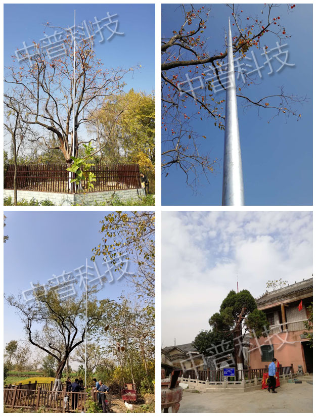 古樹(shù)防雷工程施工