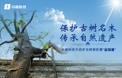 古樹防雷接地系統(tǒng)